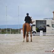 Concours de dressage