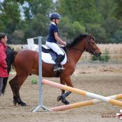 Cours d'équitation