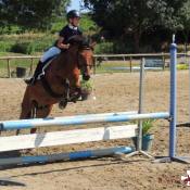 Concours obstacle