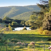 Les paddocks des chevaux et la mare du domaine des Moulis