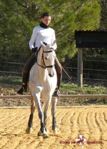 cours-equitation