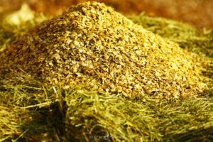 Orge et foin de qualité