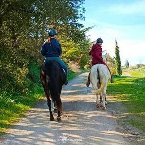Balade en extérieur à cheval