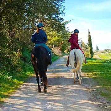 Balade en extérieur à cheval