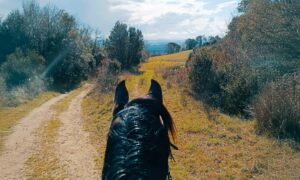 Balade en extérieur