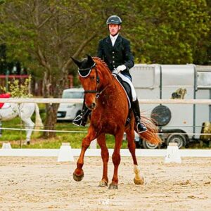Concours de dressage