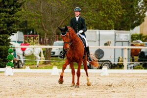 Concours de dressage