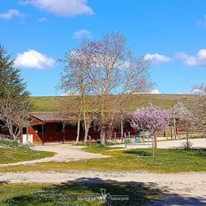 Ecurie, Rond de Havrincourt pour détente des chevaux