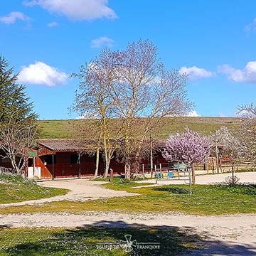 Ecurie, Rond de Havrincourt pour détente des chevaux