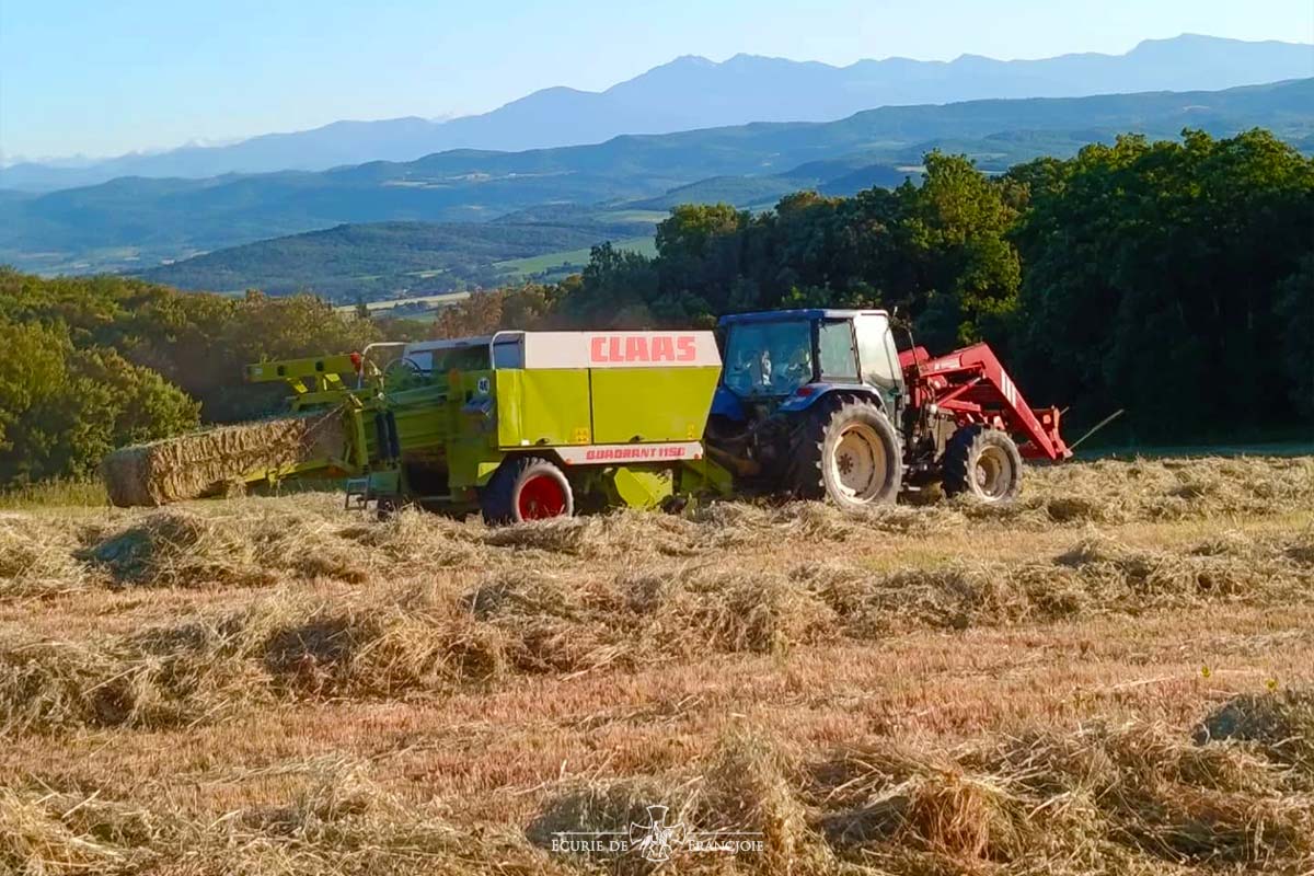 Production de foin