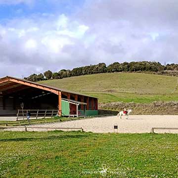 Manège et carrière