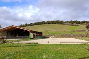 Manège et carrière