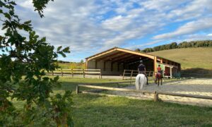 Manège et carrière de dressage