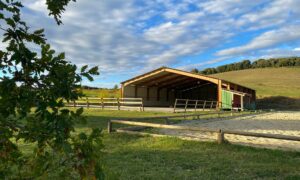 Manège couvert et carrière de dressage