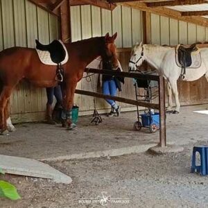 Aire de préparation