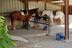 Aire de préparation